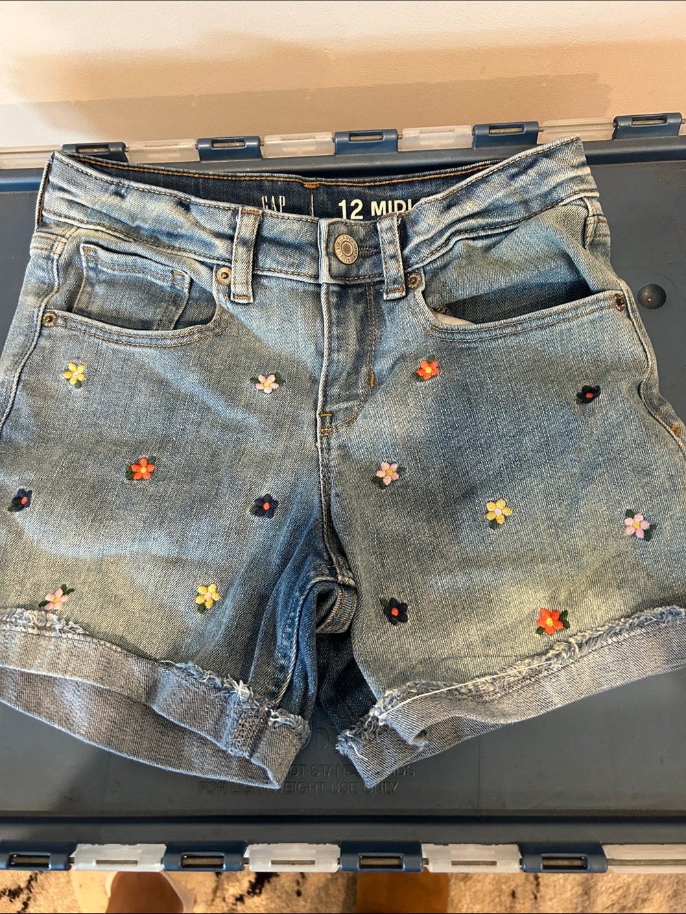 GAP Light Blue Denim Shorts with Multicolor Floral Embroidery